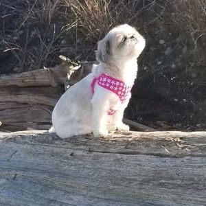 Meet your Posher, Leslie